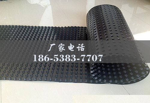 排水板廠(chǎng)家http://www.cnsnsj.com/