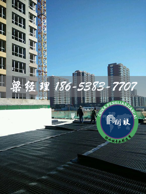 排水板廠(chǎng)家http://www.cnsnsj.com/