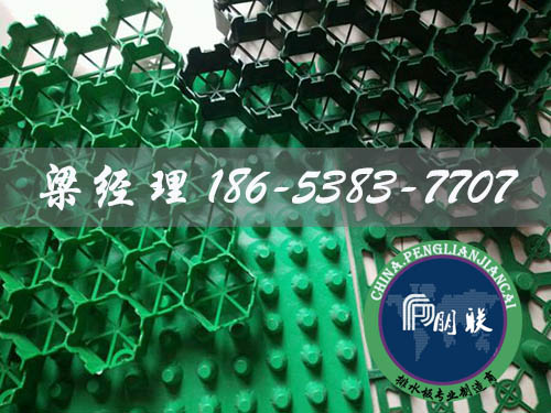 排水板廠(chǎng)家http://www.cnsnsj.com/