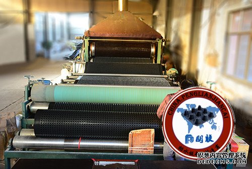 排水板廠(chǎng)家http://www.cnsnsj.com/